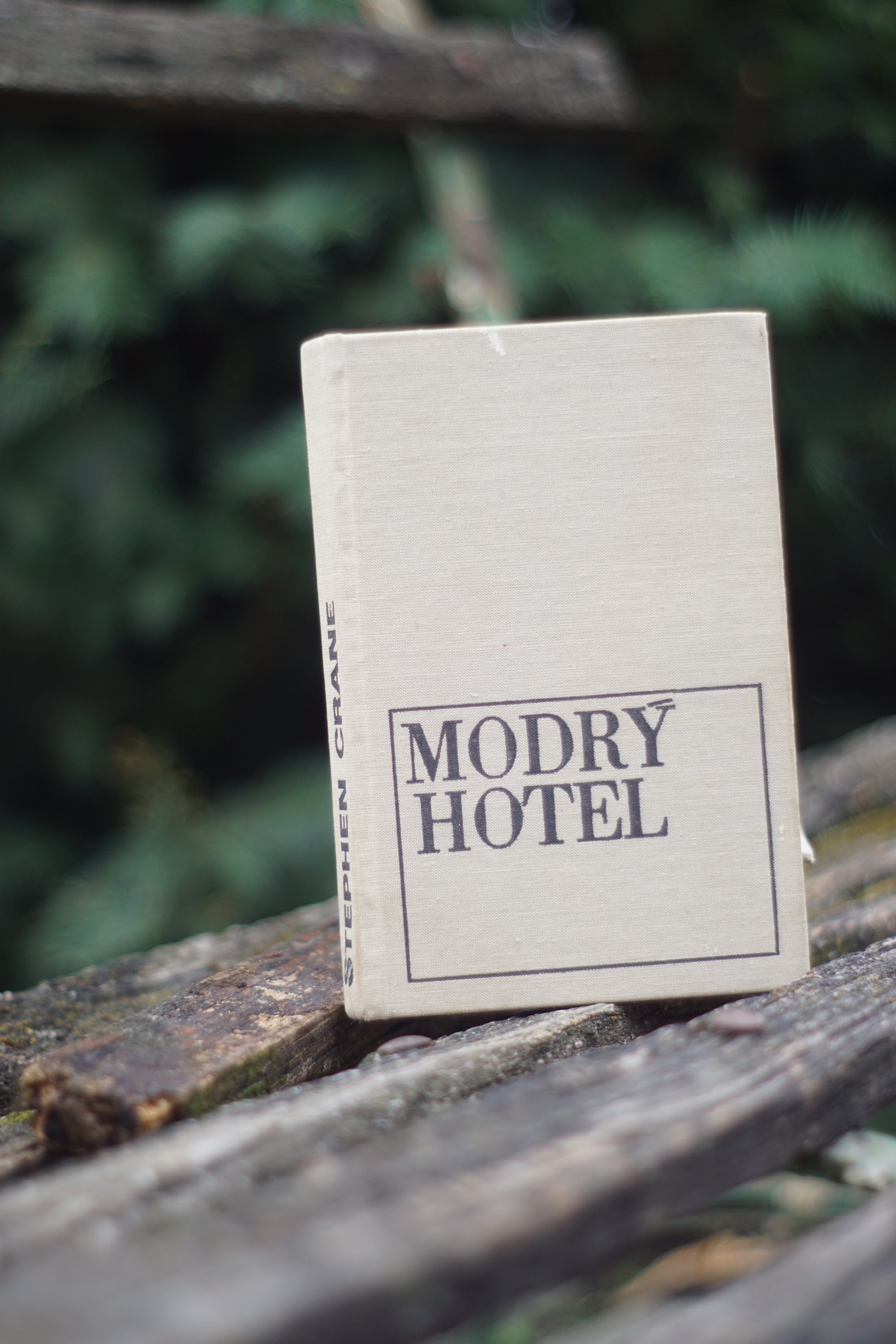 Modrý hotel Stephen Crane