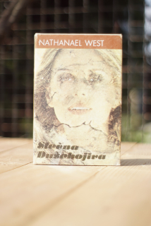 Slečna Dušehojivá Nathanael West