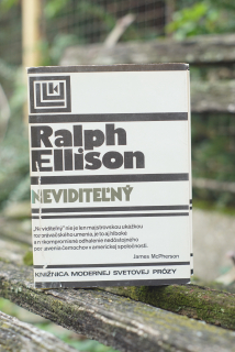 Nevideteľný Ralph Elison