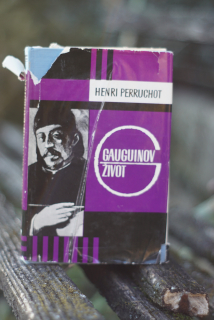 Gauguinův život Henri Perruchot