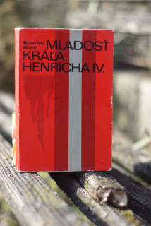 Mladosť kráľa Henricha IV Heinrich Mann